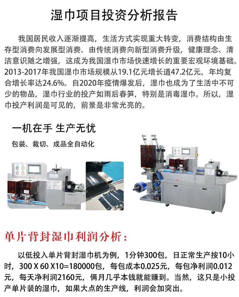 湿巾项目
