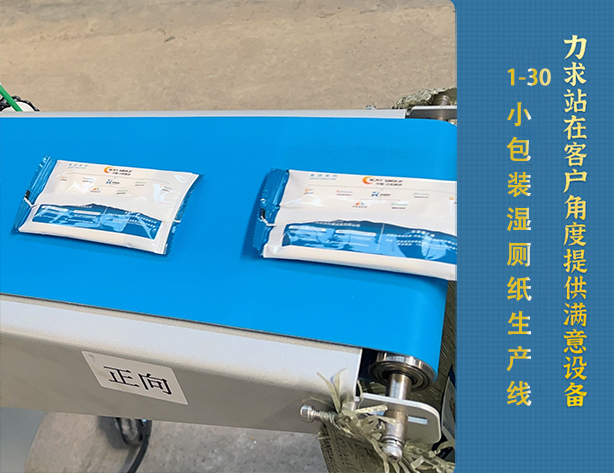 1-30片小包装湿厕纸生产线 1-30片小包装湿厕纸生产线