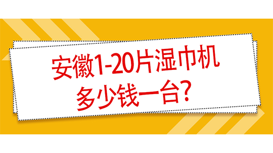 安徽1-20片湿巾机多少钱一台? 安徽1-20片湿巾机多少钱一台?