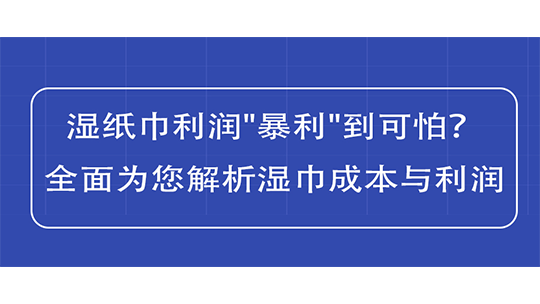 湿纸巾利润 湿纸巾利润